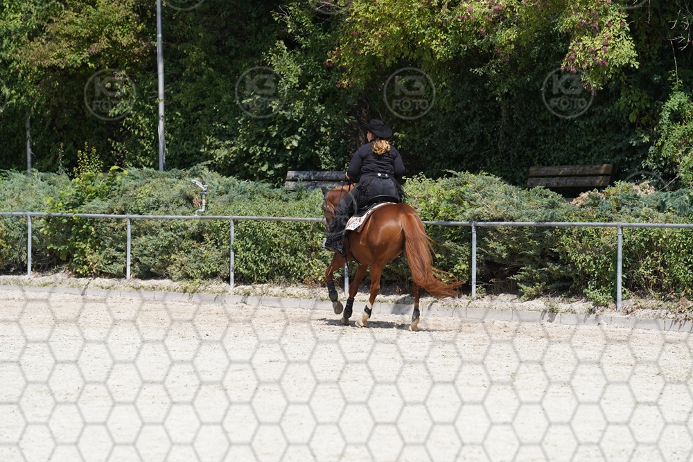 A7_08821.JPG